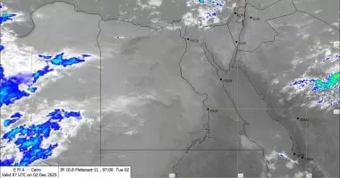 الأمطار تتواصل على السواحل الشمالية.. والحرارة فى القاهرة 18 درجة