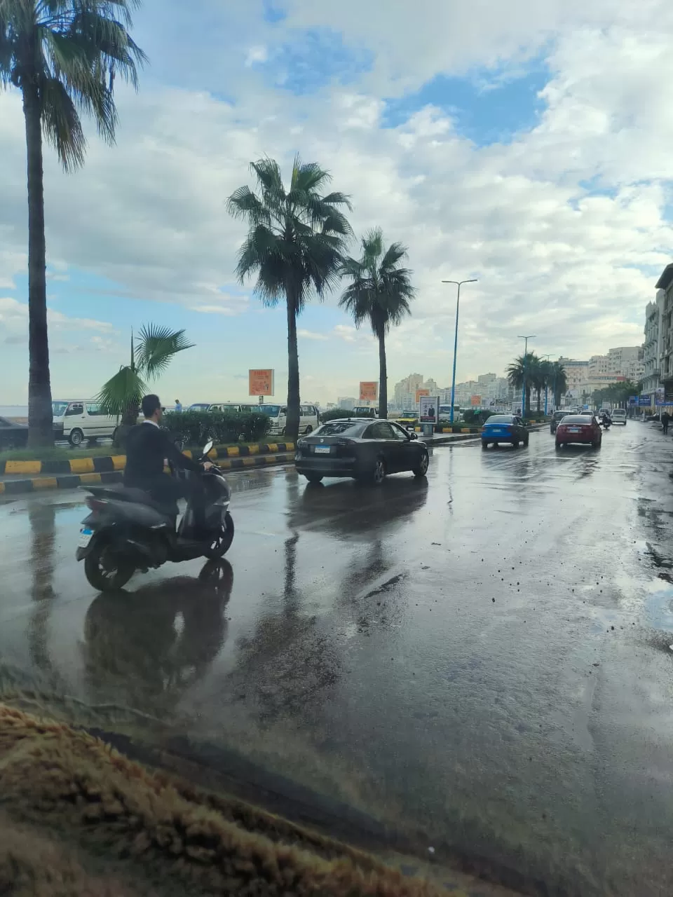 أمطار متفاوتة الشدة على الإسكندرية بسبب نوة باقى المكنسة