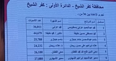 ننشر أسماء الفائزين والإعادة بدوائر كفر الشيخ بانتخابات النواب