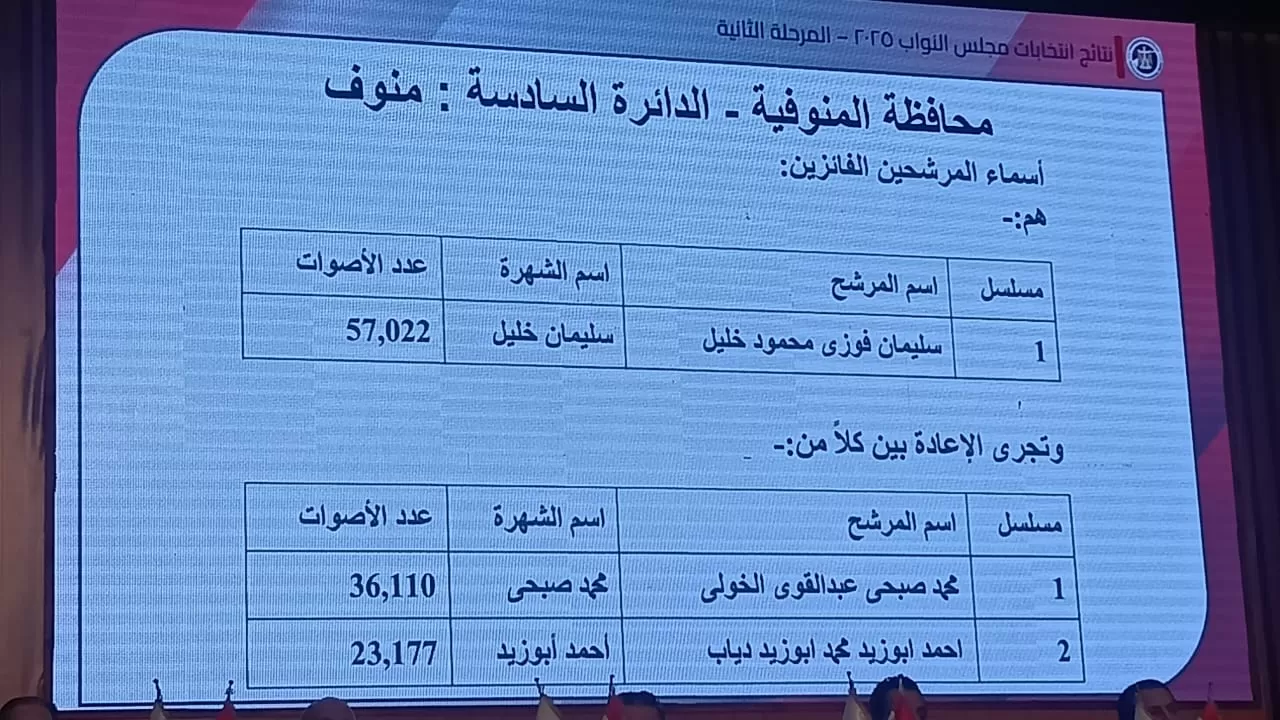المنوفية الدائرة 6