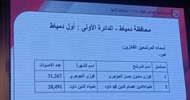 ننشر أسماء الفائزين والإعادة بدوائر دمياط بانتخابات النواب