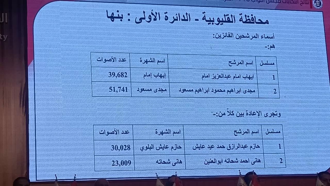 انتخابات محافظة القليوبية بالمرحلة الثانية لانتخابات مجلس النواب (2)
