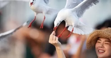 شاهد.. لحظة صادمة لمراسلة نيوزيلندية أثناء تقديمها تقرير ميدانى