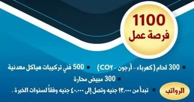 وزارة العمل: 1100 فرصة عمل جديدة بالضبعة بمرتبات تصل إلى 40 ألف جنيه