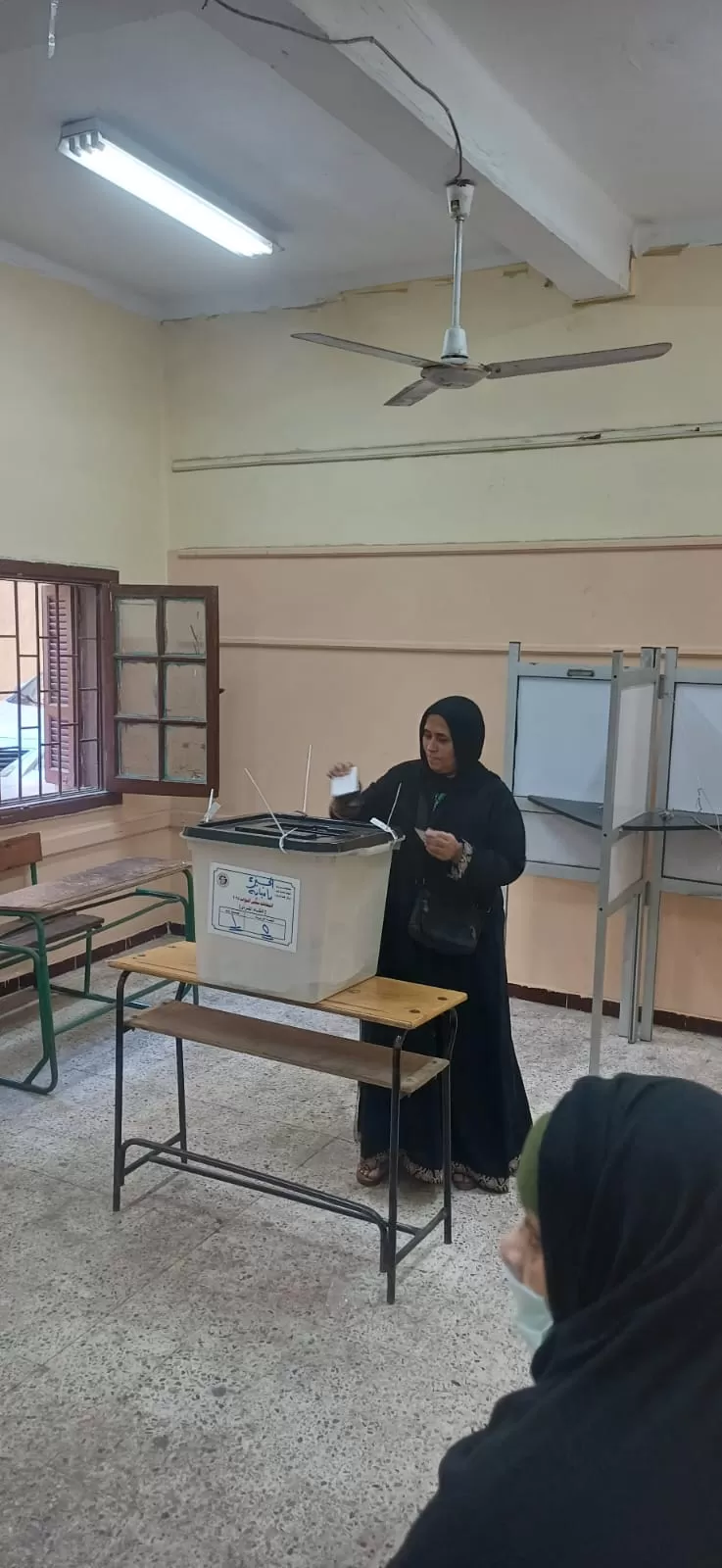 سيدات امبابة يتصدرن المشهد الانتخابى فى امبابة (3)