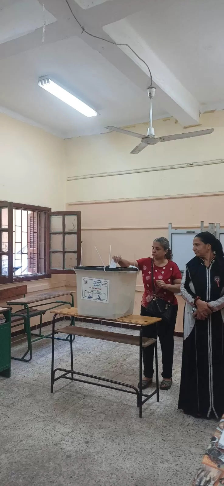 سيدات امبابة يتصدرن المشهد الانتخابى فى امبابة (4)