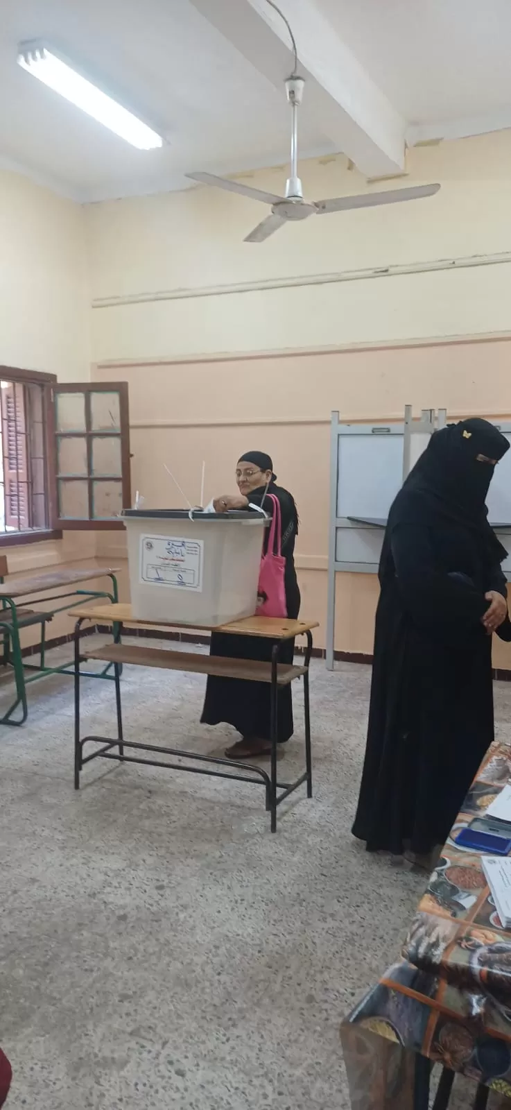 سيدات امبابة يتصدرن المشهد الانتخابى فى امبابة (2)