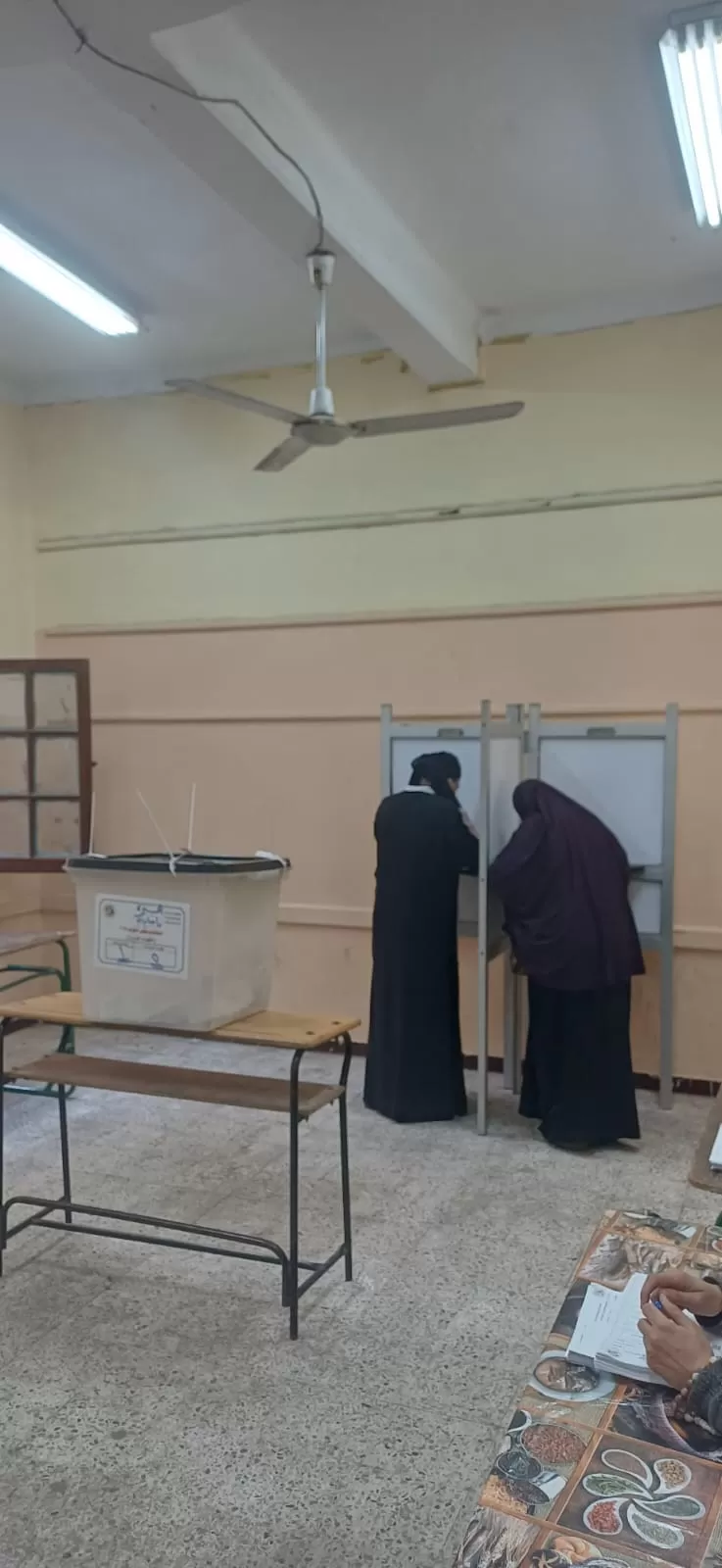 سيدات امبابة يتصدرن المشهد الانتخابى فى امبابة (1)