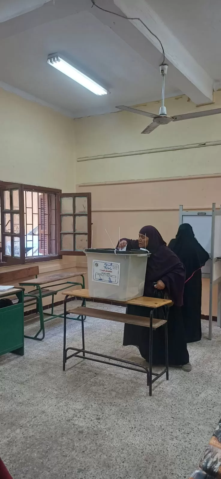 سيدات امبابة يتصدرن المشهد الانتخابى فى امبابة (6)