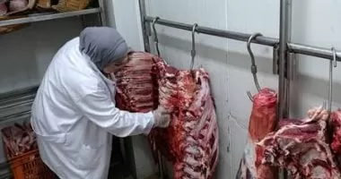 وزارة الزراعة تنفى شائعات انتشار لحوم حمراء غير صالحة للاستهلاك فى الأسواق