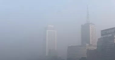 خليك حذر من الشبورة.. تفاصيل حالة الطقس اليوم الخميس 4 ديسمبر 2025