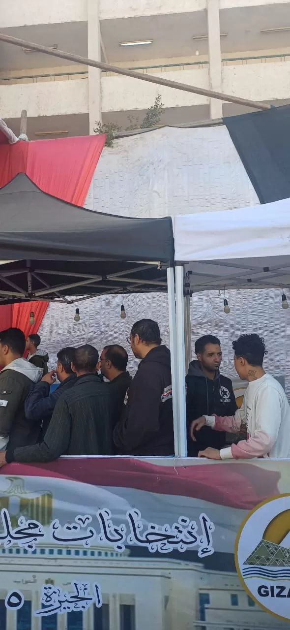 تصويت الناخبين