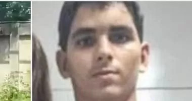 هوس ترويض الأسود يقود شاب برازيلى مصاب بالفصام لموت مروع داخل قفص