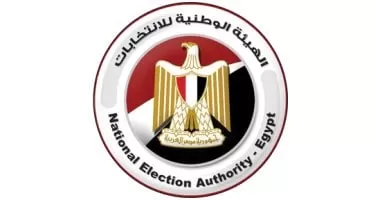 27 شكوى في اليوم الثاني من التصويت بالدوائر الملغاة.. وشكاوى من 6 أحزاب