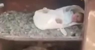 مشهد مؤلم يهز العراق.. العثور على رضيع مُلقى على طريق البصرة.. فيديو