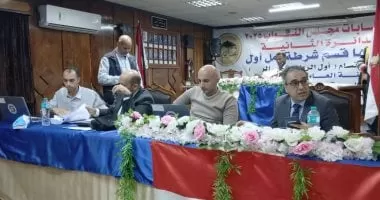 الحصر العددى لانتخابات الإعادة بدائرة الرمل فى الإسكندرية.. فيديو