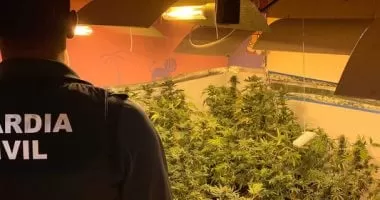 كافيه للحشيش وبط مصبوغ ومصارعة الدببة.. 6 قوانين مجنونة بولايات أمريكية