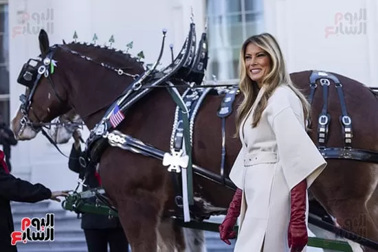 ميلانيا ترامب تستقبل شجرة عيد الميلاد داخل البيت الأبيض