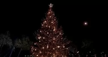 ترامب وزوجته ميلانيا يشاركان فى إضاءة شجرة عيد الميلاد وسط واشنطن.. فيديو