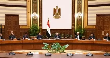 الرئيس السيسى يؤكد أهمية الشراكة مع الجانب اليابانى فى دعم العملية التعليمية