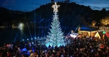 عدد ضخم.. جمعية ملاك الغابات السويسرية تكشف مبيعات الأشجار خلال أعياد الميلاد