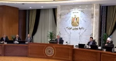 مجلس الوزراء يعلن تفعيل آليات التصدى للشائعات واتخاذ إجراءات قانونية ضد ناشريها