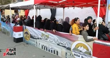 انتخابات النواب.. بدء اقتراع المصريين في الخارج بـ30 دائرة ملغاة بأحكام القضاء