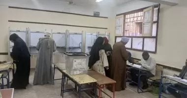 التفاصيل الكاملة لـ 3 طعون رفضتها الإدارية العليا لإلغاء نتيجة المرحلة الثانية للنواب