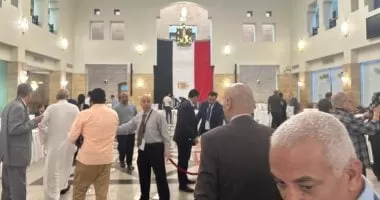 اعرف آلية تصويت المصريين فى الخارج بالدوائر الملغاة بأحكام القضاء