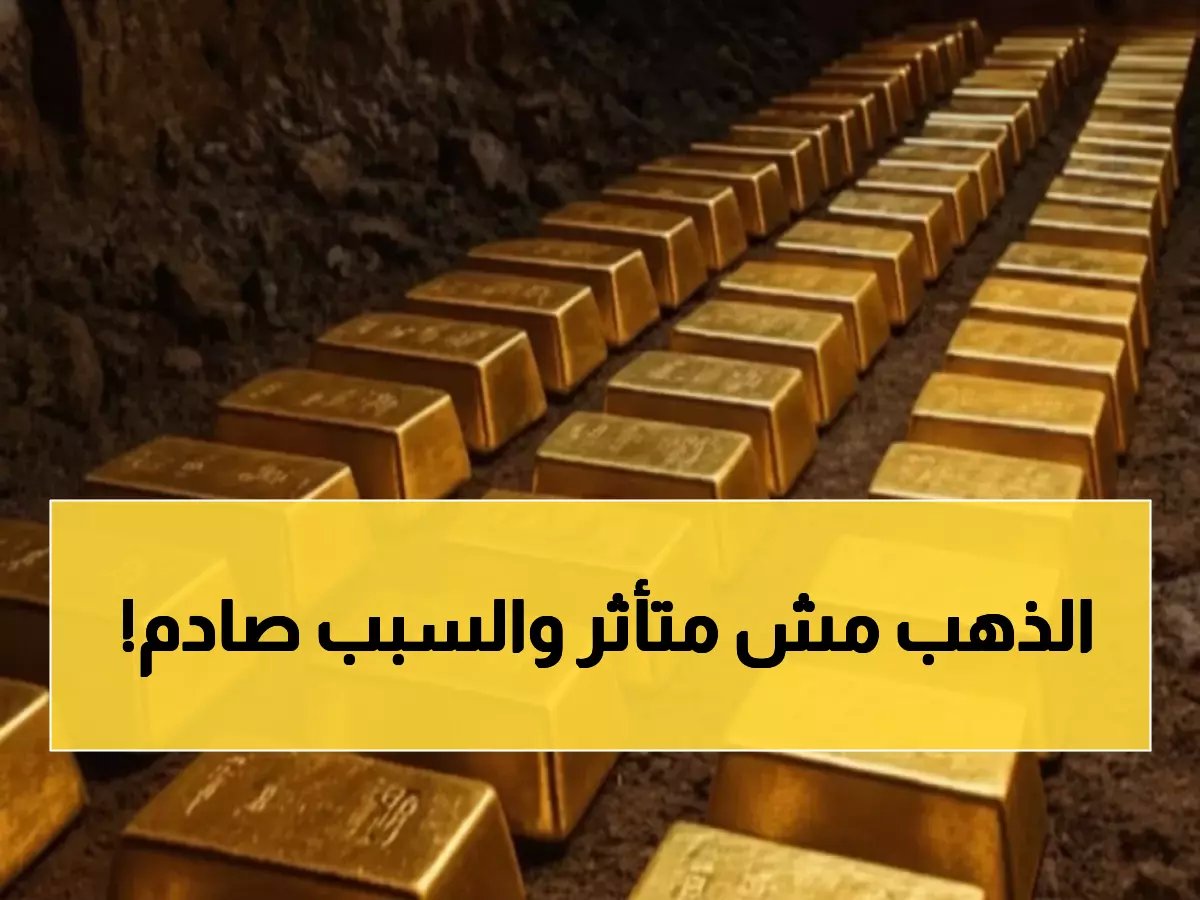  الذهب يصمد في الإمارات رغم العواصف الاقتصادية العالمية… هل تشتري الآن أم تنتظر؟