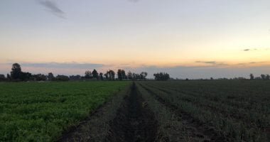 من الكوالح إلى الصوالح.. دليلك الشامل لمعرفة أيام البرد فى الشتاء