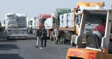 سفير الإمارات يثمن جهود مصر لتأمين إدخال المساعدات الإنسانية لقطاع غزة