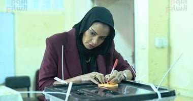 بدء ثانى أيام اقتراع المصريين المقيمين في لوس أنجلوس بانتخابات النواب