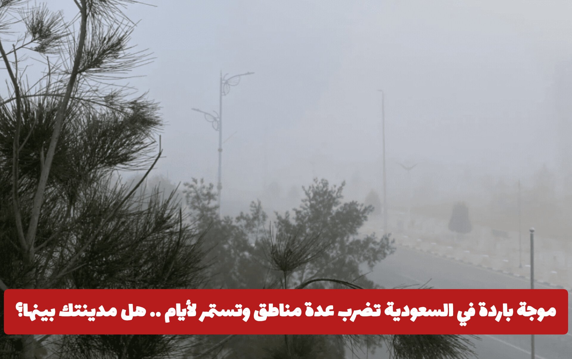 موجة باردة في السعودية تضرب عدة مناطق مع بداية يناير وتستمر لأيام .. هل مدينتك بينها؟