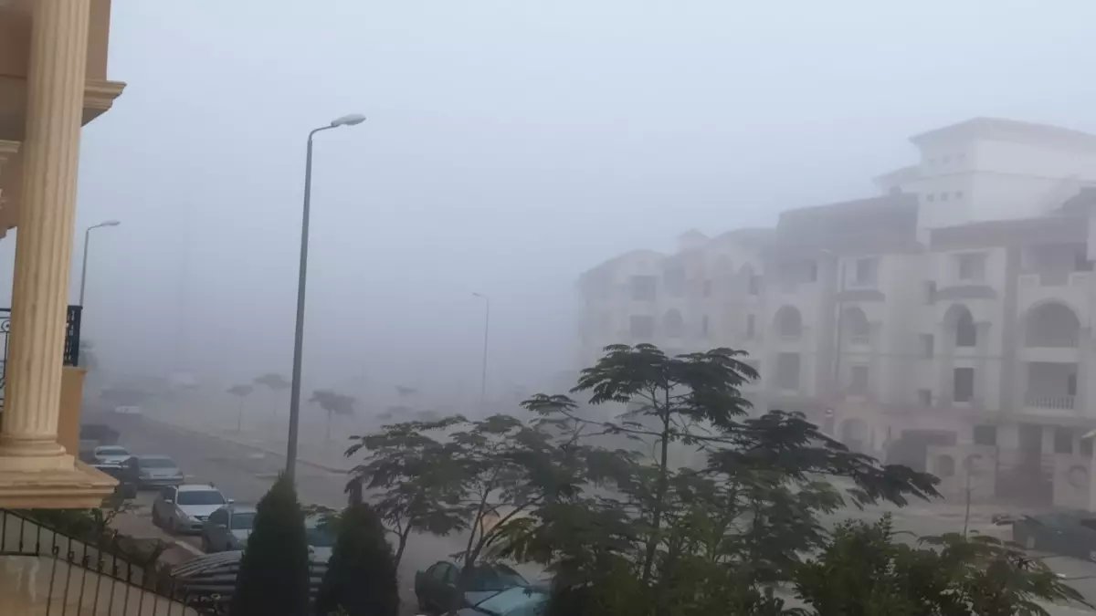 عاجل: الأرصاد تحذر من ضباب كثيف يشل الحركة وأمطار غزيرة... 20% فقط احتمال نجاتك من المطر!