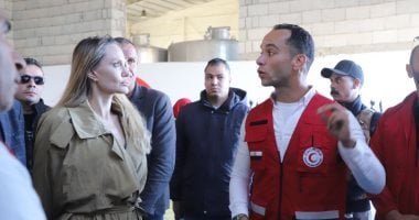 أنجلينا جولى تتفقد مخازن الهلال الأحمر فى شمال سيناء.. صور