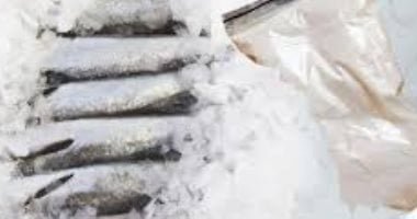 سمك بالكوكايين.. المكسيك تضبط شحنة مخدرات داخل السمك المجمد