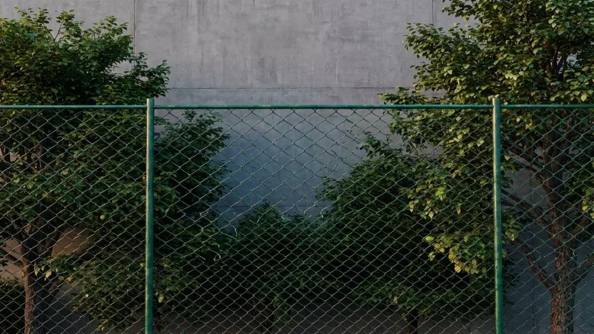 عاجل: اتحاد الكرة يفجر مفاجأة القيد الثانية… وصراع ناري مع فلسطين بسبب حكم مصري!