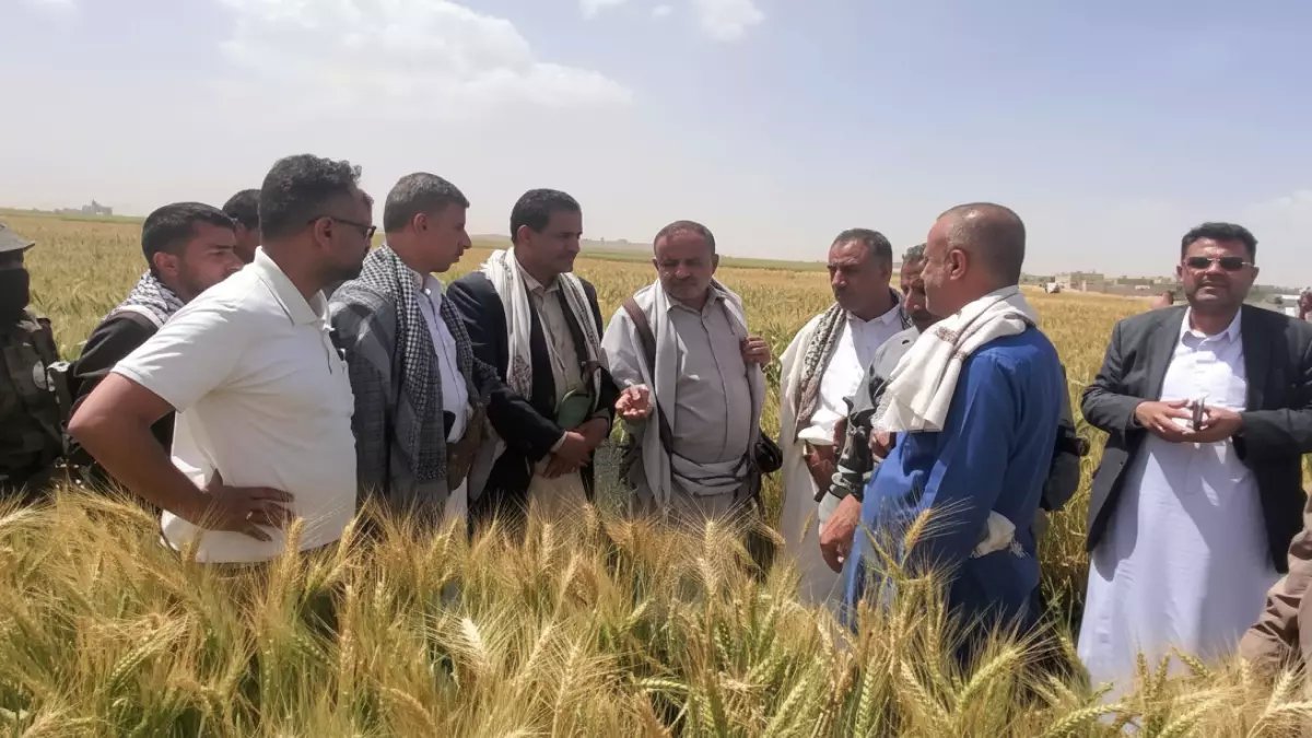 معجزة ريمة: مزارعون يمنيون يكتشفون كنزاً مدفوناً... 100% نجاح في موسم واحد قد يغير خريطة الاقتصاد!