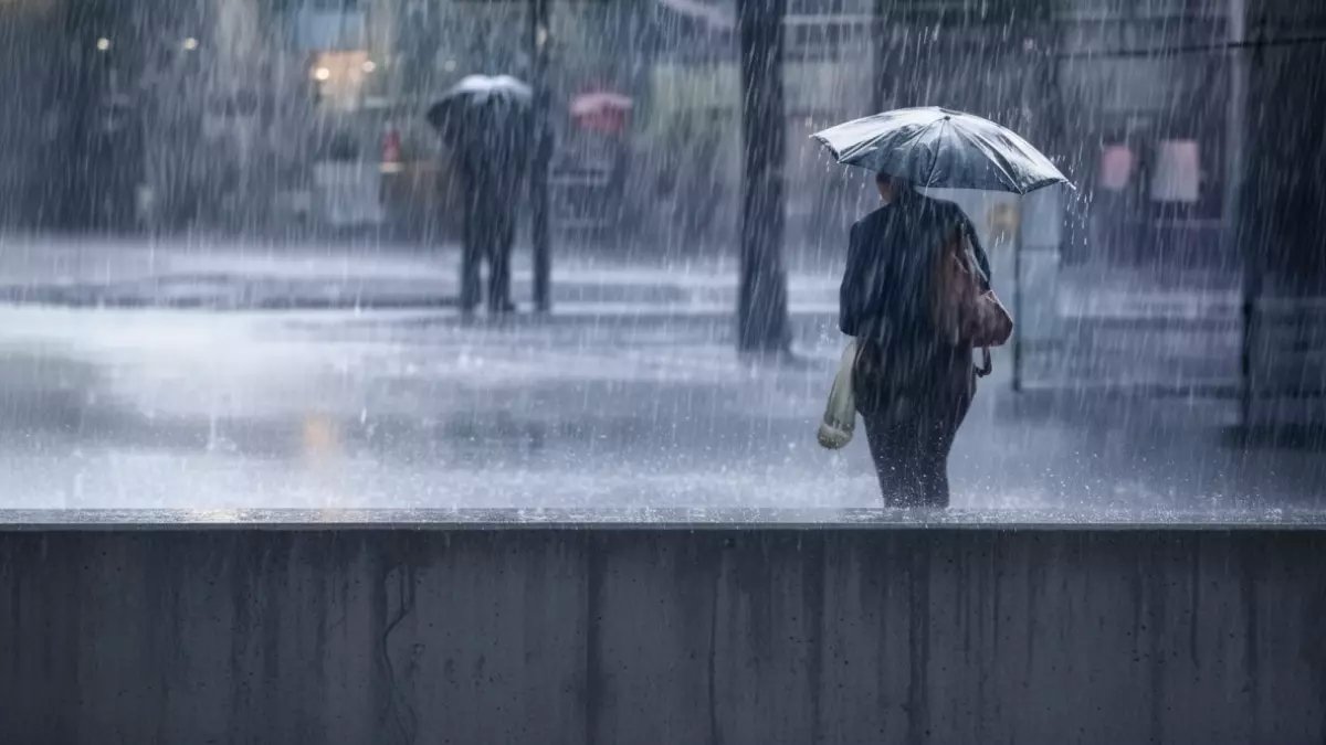 هيئة الأرصاد تكشف خريطة المناطق الأكثر أماناً في مصر خلال موسم الأمطار القادم