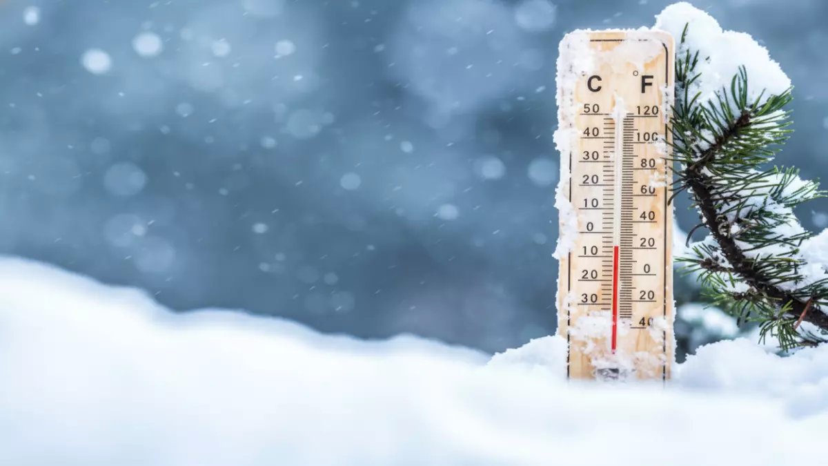 عاجل: موجة برد قطبية تضرب السعودية اليوم - حائل تسجل 4 درجات والرؤية تنعدم!