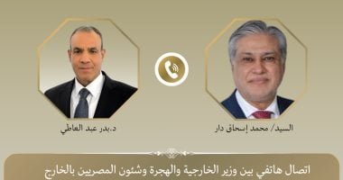 وزيرا خارجية مصر وباكستان يؤكدان أهمية التهدئة في اليمن وخفض التصعيد