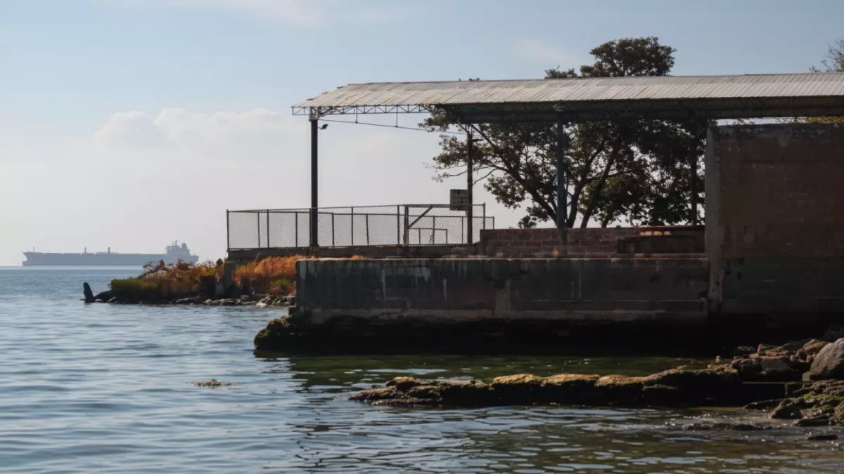 عاجل: النفط ينفجر 20% في 2026 رغم خسائر تاريخية... هل تنهي حرب أوكرانيا عصر الطاقة الرخيصة؟