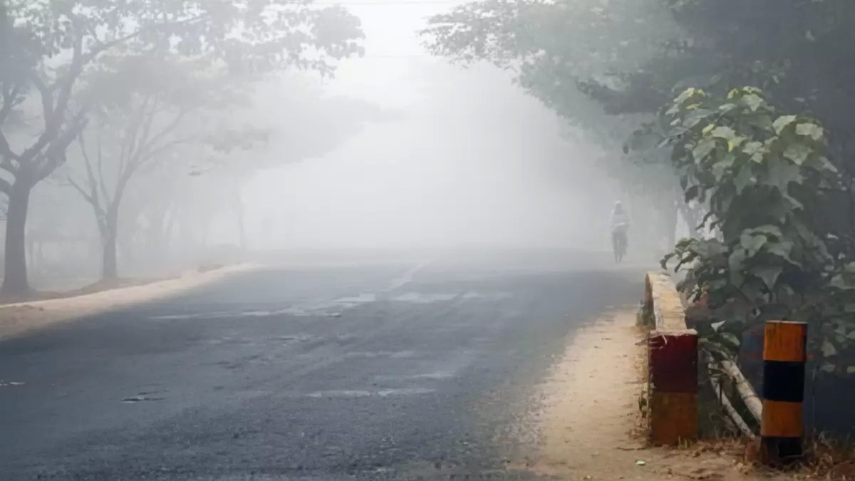 عاجل: انهيار الحرارة إلى -3 درجات والصقيع يغزو 4 مدن سعودية خلال ساعات!