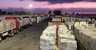 سفارة ألمانيا: الوضع في قطاع غزة صعب ونواصل تقديم المساعدات الإنسانية