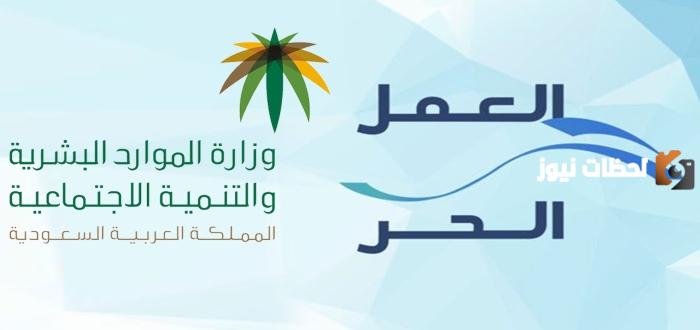 ما هي الخدمات المتاحة بوثيقة العمل الحر وشروطها والمستندات المطلوبة