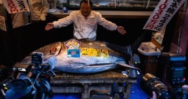 بيع سمكة تونة ضخمة مقابل 3.2 مليون دولار فى اليابان