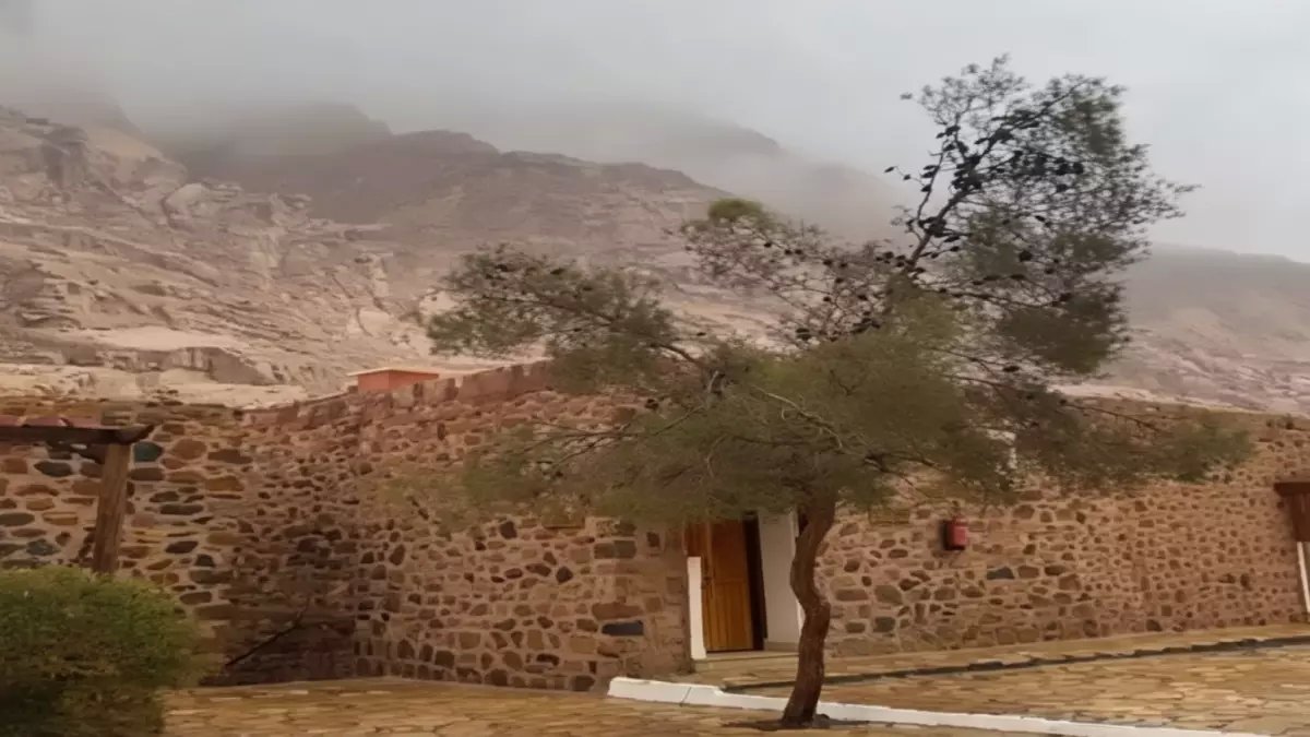 عاجل: الأرصاد تحذر المصريين من "خدعة الطقس" - برودة قاسية تصل لـ 7 درجات!