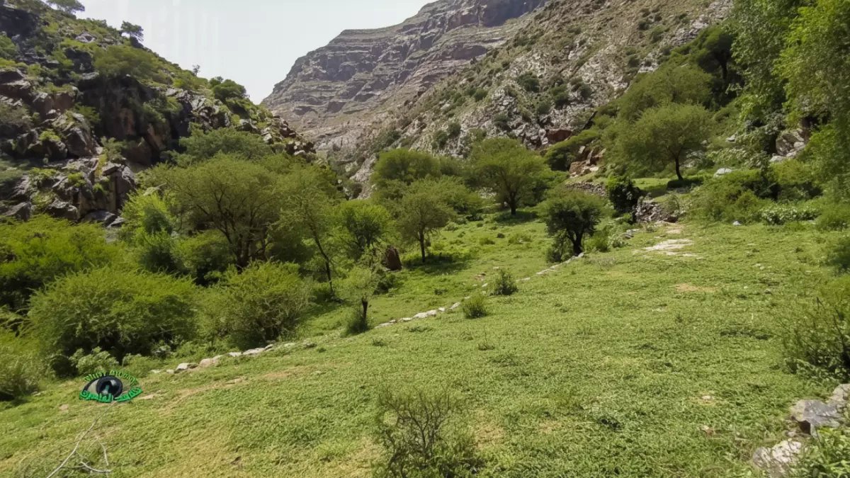 عاجل: سكان أفقر منطقة في اليمن يكتشفون أنهم نائمون فوق كنز يفوق نصف احتياطي البلاد… صراع دموي محتدم للسيطرة عليه!