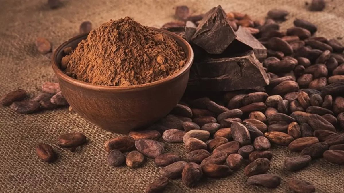 عاجل: انهيار أسعار الكاكاو بـ 3% خلال ساعات... هل تشهد الشوكولاتة ثورة أسعار جديدة؟